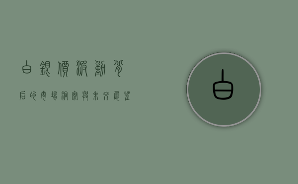 白银价，波动背后的市场洞察与未来展望