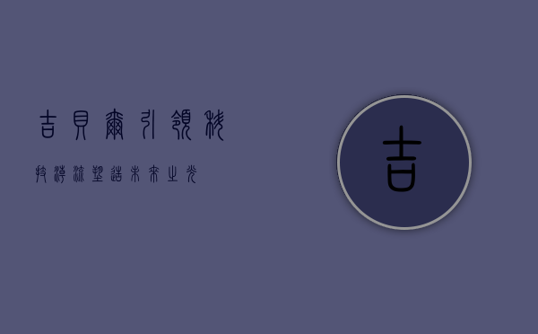 吉贝尔,引领科技潮流,塑造未来之光