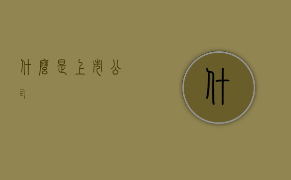 什么是上市公司