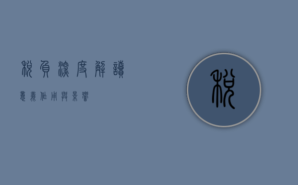 税负深度解读，意义、作用与影响