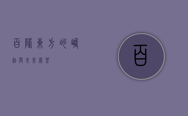 百隆东方的崛起与未来展望