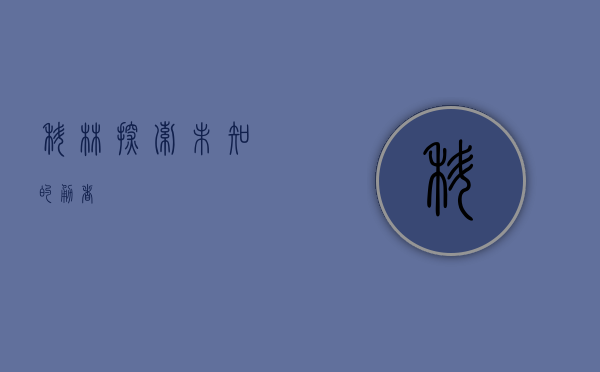 科林，探索未知的勇者