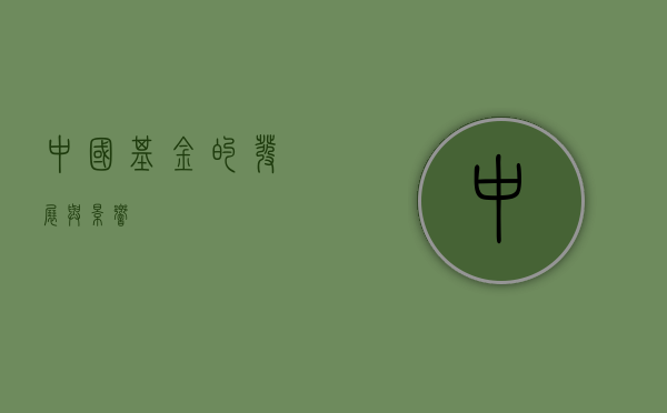 中国基金的发展与影响