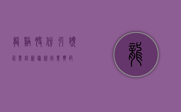 龙溪股份，引领企业创新，铸就行业典范