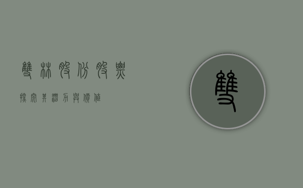 双林股份股票，探究其潜力与价值