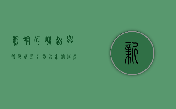 新钢的崛起与挑战,创新引领未来钢铁产业