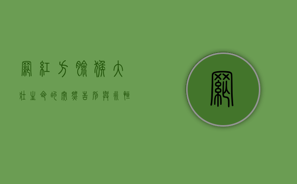网红方脸猴大壮，生命的突然告别与永恒记忆