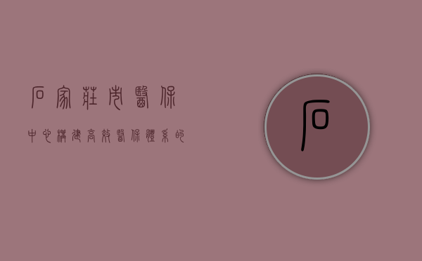 石家庄市医保中心，构建高效医保体系的先锋力量