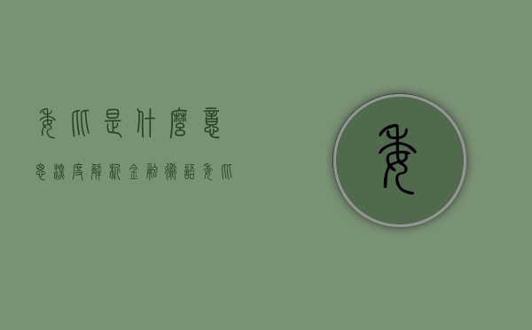 委比是什么意思，深度解析金融术语委比的含义与运用