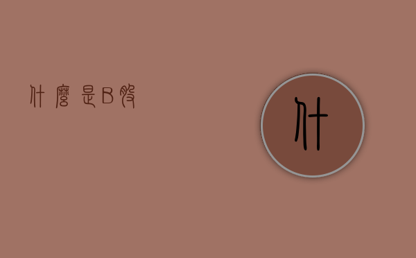 什么是B股