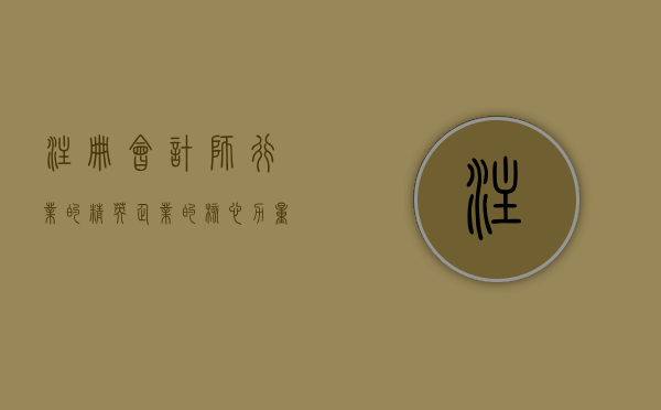 注册会计师,行业的精英,企业的核心力量