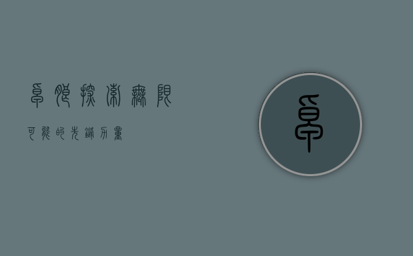 卓朗，探索无限可能的先锋力量