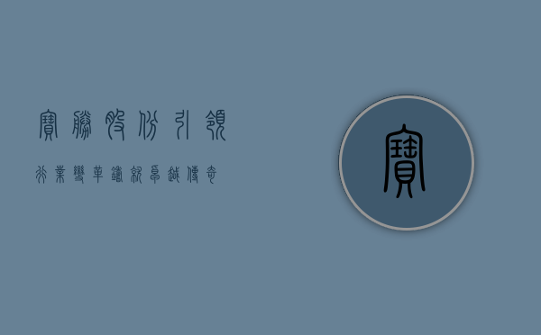宝胜股份，引领行业变革，铸就卓越传奇