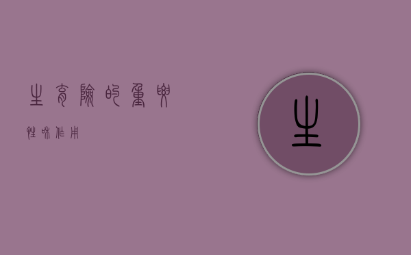 生育险的重要性和作用