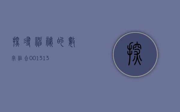 探寻神秘的数字组合，001313