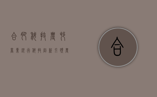 合肥科技农村商业银行，科技创新引领农村金融发展