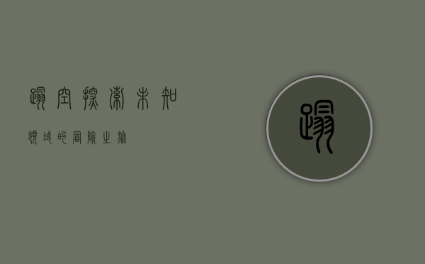 踏空,探索未知领域的冒险之旅