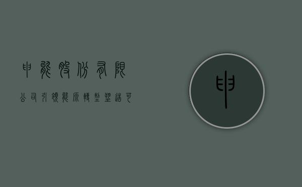 申能股份有限公司，引领能源转型，塑造可持续发展未来