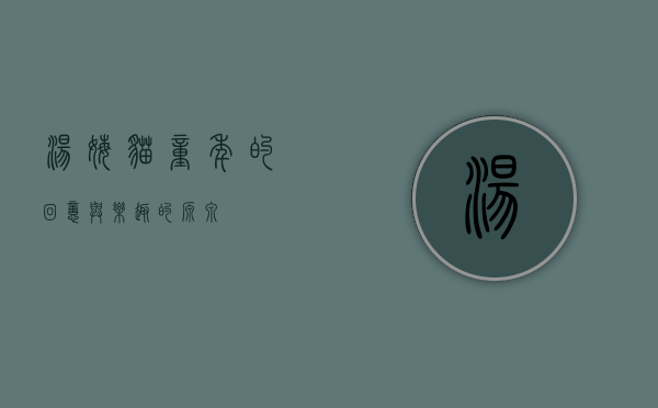 汤姆猫，童年的回忆与乐趣的源泉