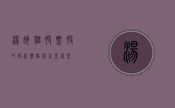 汤姆猫股票股吧，投资热点与前景展望