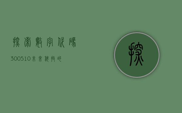 探索数字代码 300510，背后的意义与未来展望