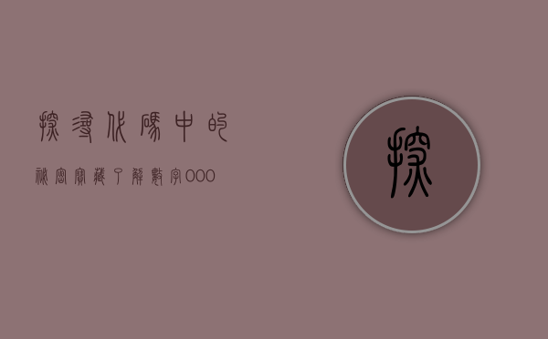 探寻代码中的秘密宝藏，了解数字000553背后的故事