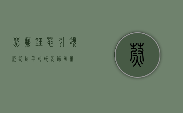 蔚蓝锂芯，引领新能源革命的先锋力量