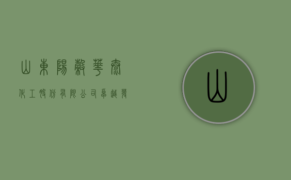 山东阳谷华泰化工股份有限公司，卓越发展的化工巨头