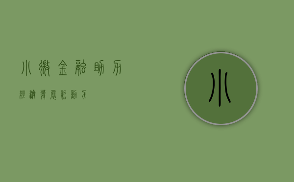 小微金融，助力经济发展新动力